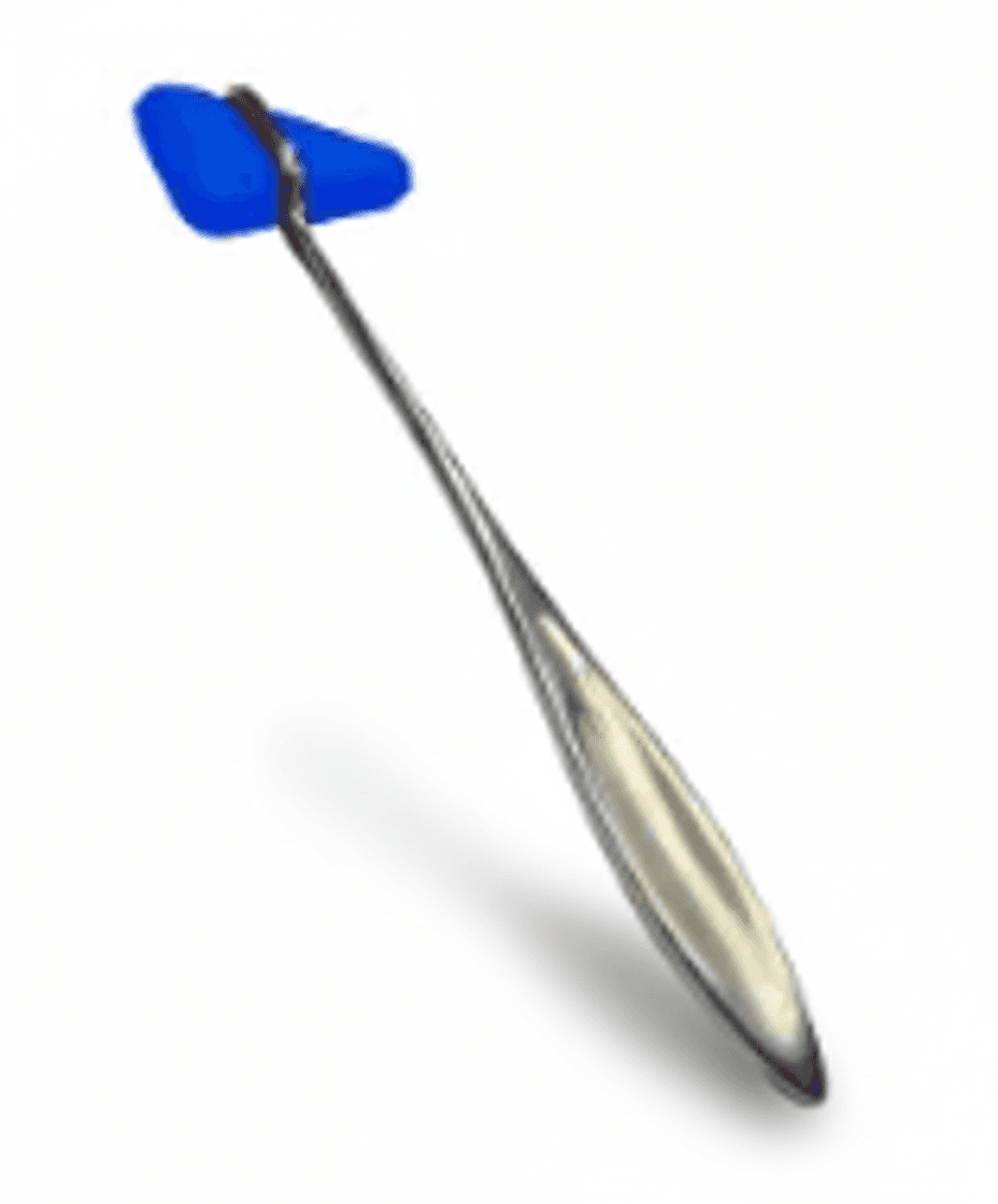 Martillo Taylor AZUL - Imagen 1