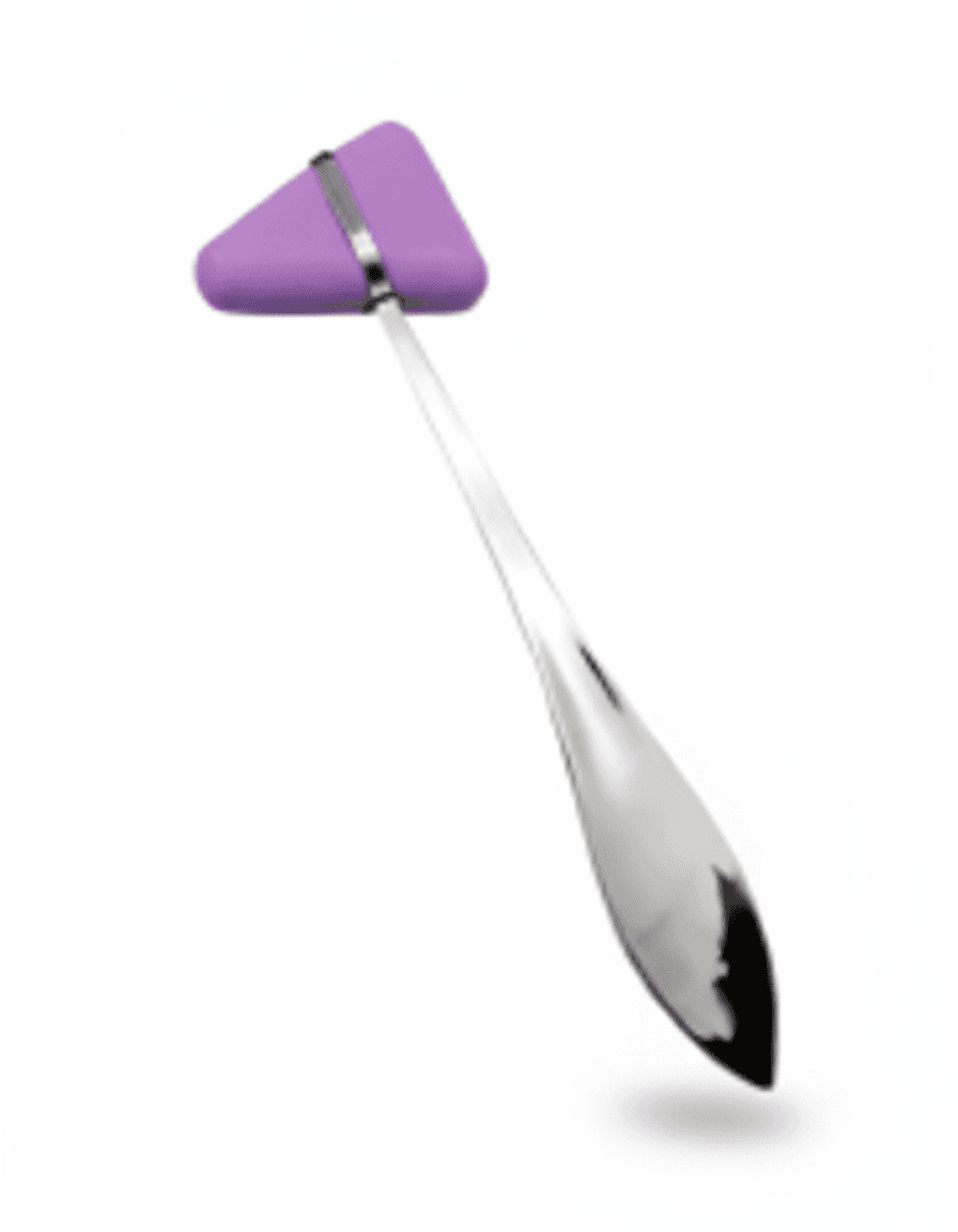 Martillo Taylor LILA - Imagen 1