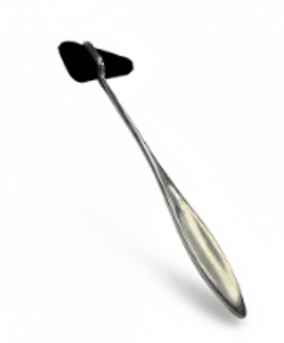 Martillo Taylor NEGRO - Imagen 1