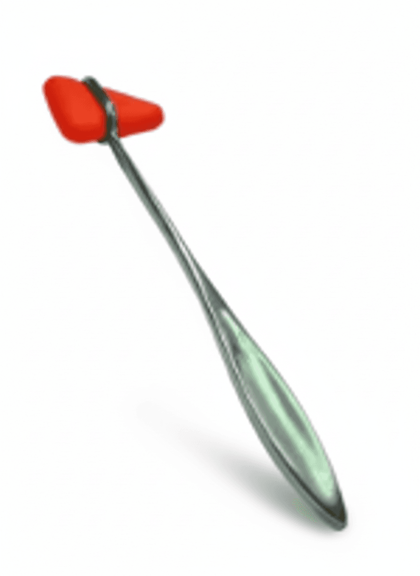 Martillo Taylor ROJO - Imagen 1